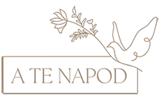 Kezdőlapi oldal - Terra-Pannonia